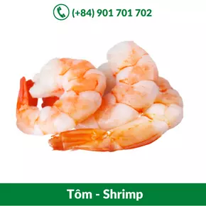 Tôm - Shrimp_-20-09-2021-16-10-15.webp